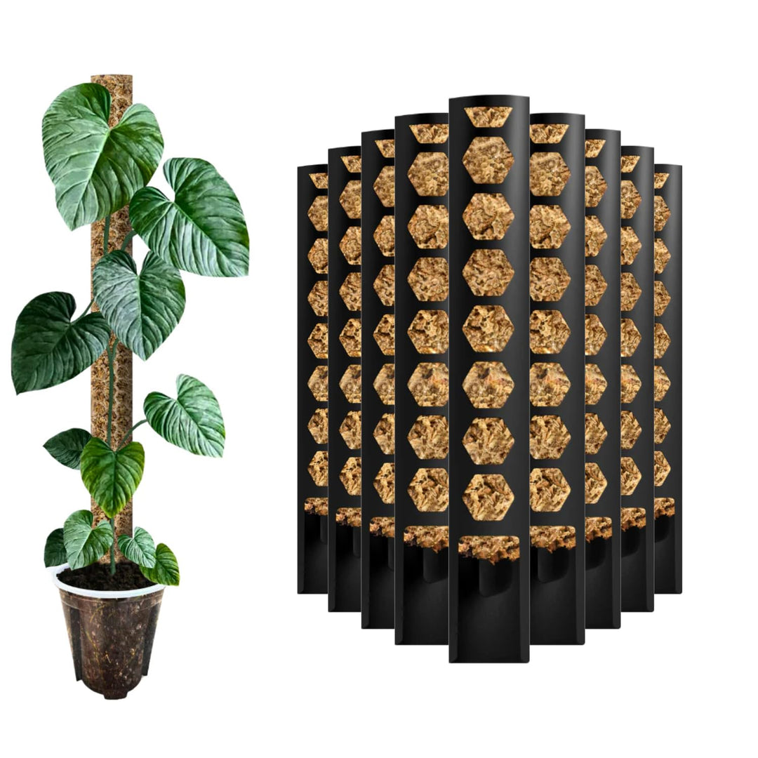Moosstab [PlantScraper] 20 cm (XS) / 10 Stück/Schwarz | Pflanzenstab | Moss Pole | Rankstab | Moosst