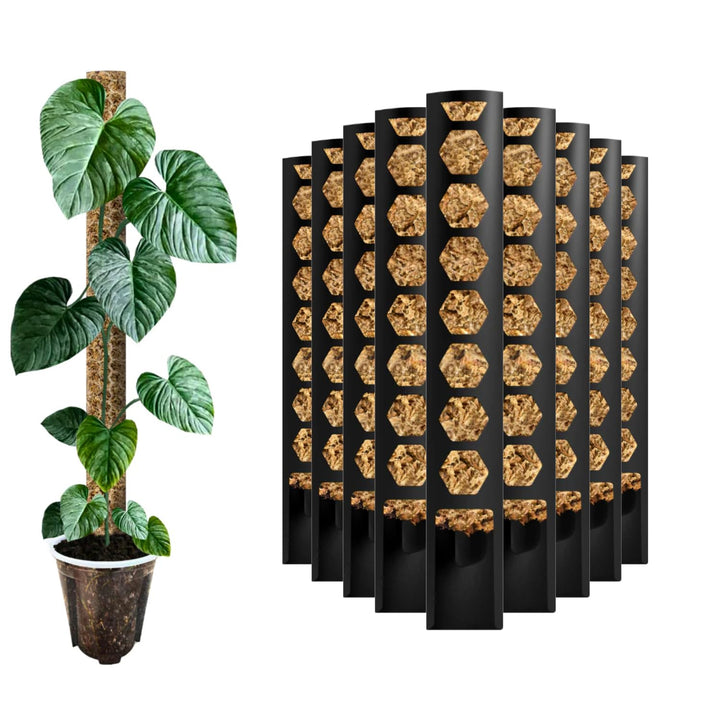 Moosstab [PlantScraper] 20 cm (XS) / 10 Stück/Schwarz | Pflanzenstab | Moss Pole | Rankstab | Moosst