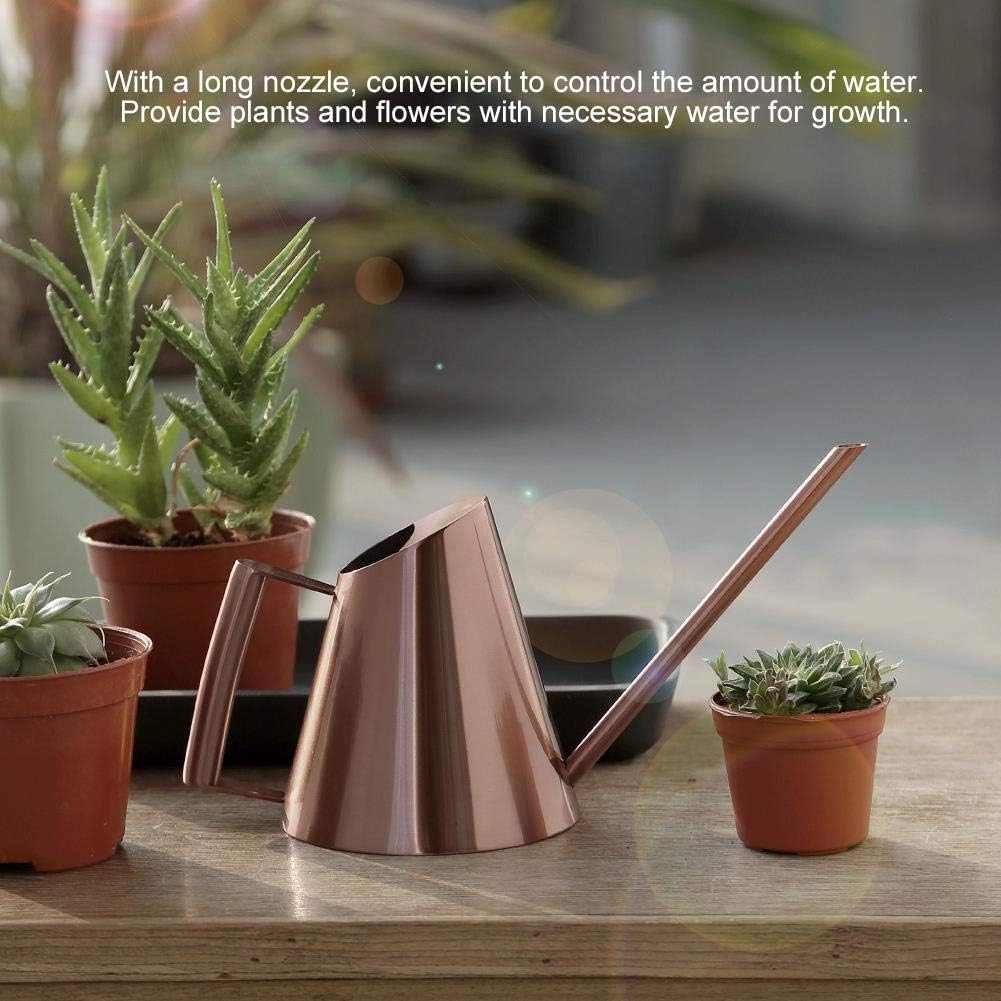 Haushalts-Bonsai-Edelstahl-Giesskanne, Mini gebürsteter Innenhaus-Pflanzen-Langer Tüllen-Giesskanne-