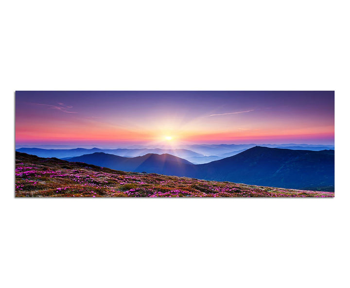 Paul Sinus Art Panoramabild auf Leinwand und Keilrahmen 150x50cm Ukraine Blumenwiese Berge Sonnenauf
