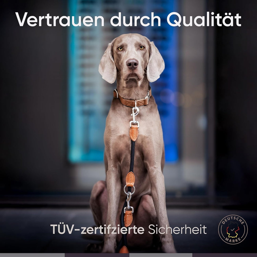 FREUDENTIER® Hundeleine für mittelgrosse &amp; grosse Hunde – 2m Länge &amp; 3-Fach verstellbar - Führleine
