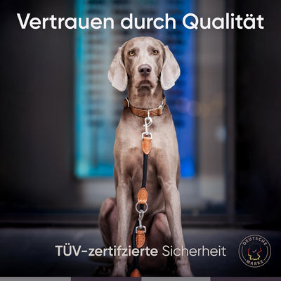FREUDENTIER® Hundeleine für mittelgrosse & grosse Hunde – 2m Länge & 3-Fach verstellbar - Führleine