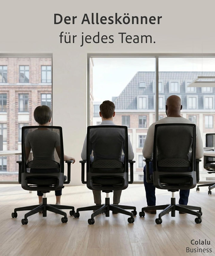 Business, Bürostuhl, für Unternehmen konzipiert, viele ergonomische Funktionen, hoher Sitzkomfort, S