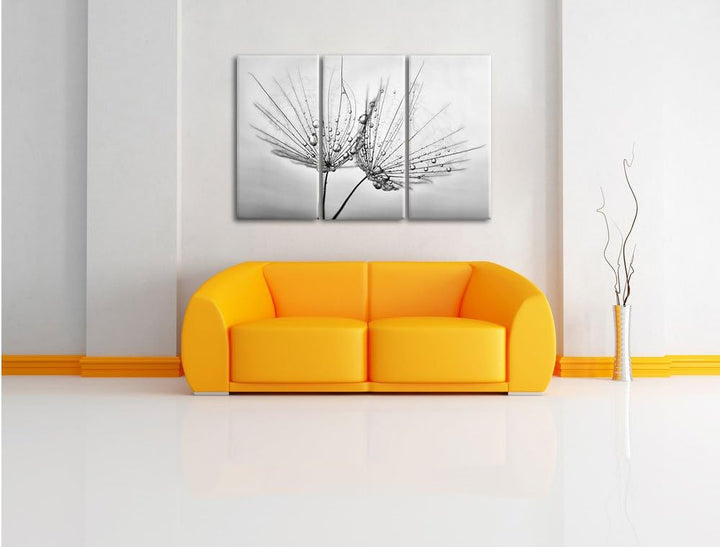 Pixxprint Pusteblumen mit Tautropfen als Leinwandbild/Grösse: 3 Teilig (120x80) cm/Wandbild/Kunstdru
