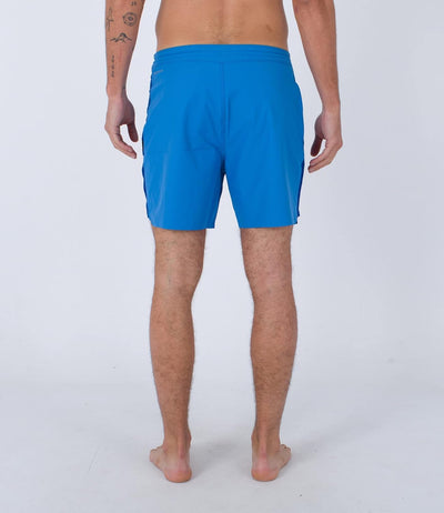 Hurley Herren Phntm Sidewinder 17' Badeshorts für Herren 32 Meerblick, 32 Meerblick