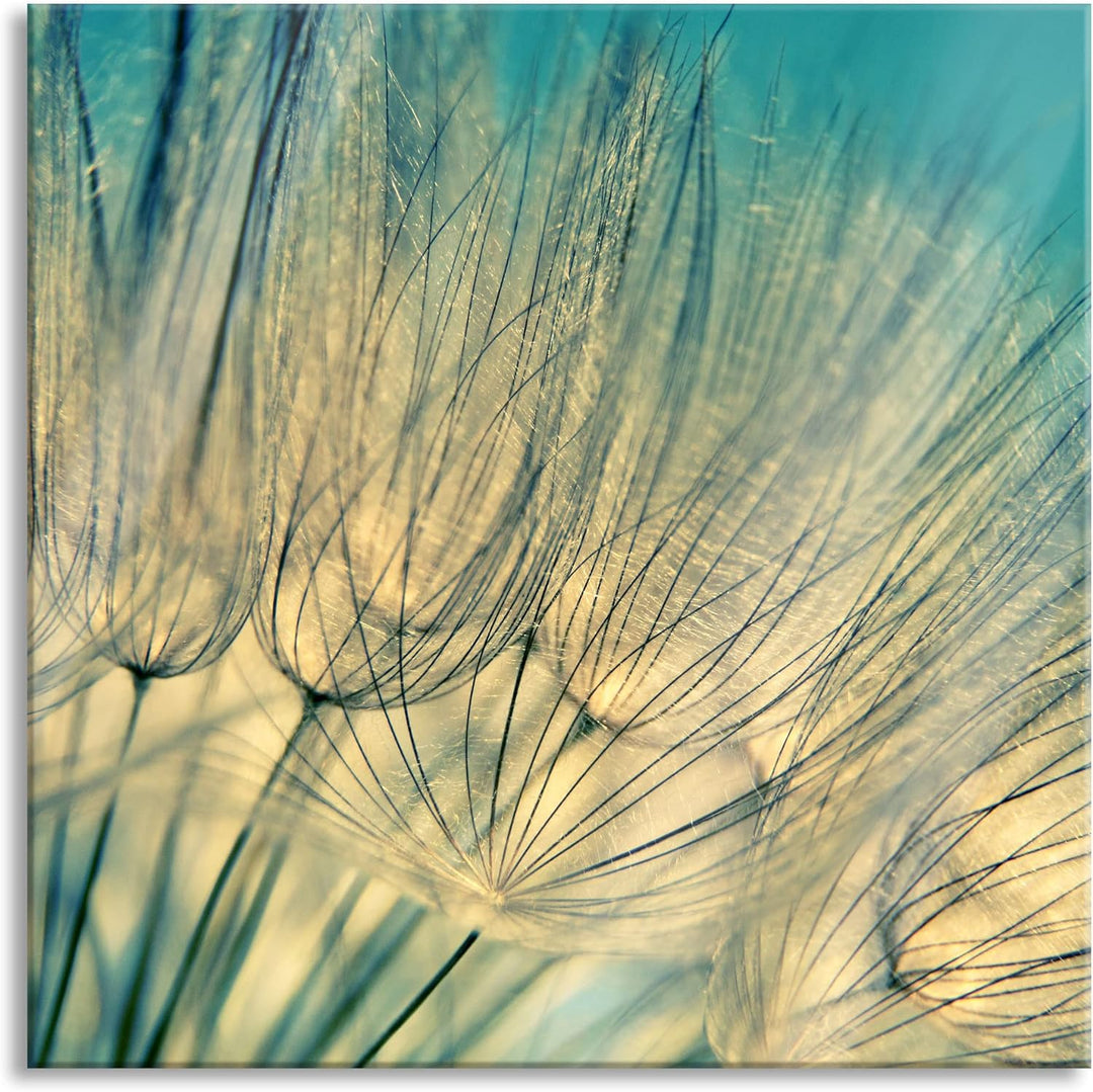 Pixxprint Glasbild | Wandbild auf Echtglas | Pusteblumen | 50x50 cm | inkl. Aufhängung und Abstandsh