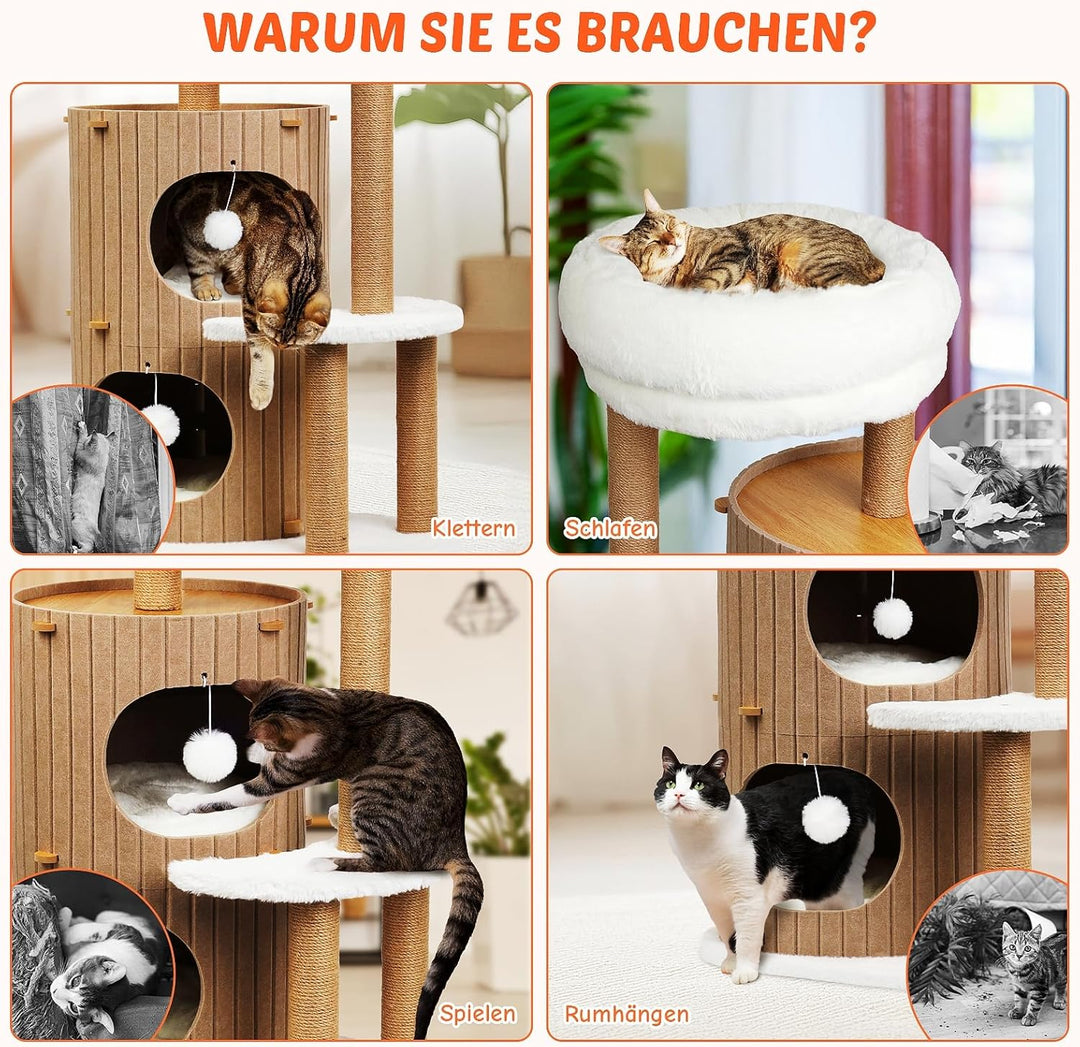 Kletterwand Katzen Set Katzenbett Sofa aus Holz,Premium Kratzbaum mit Katzenbett (Holzfarbe, L)