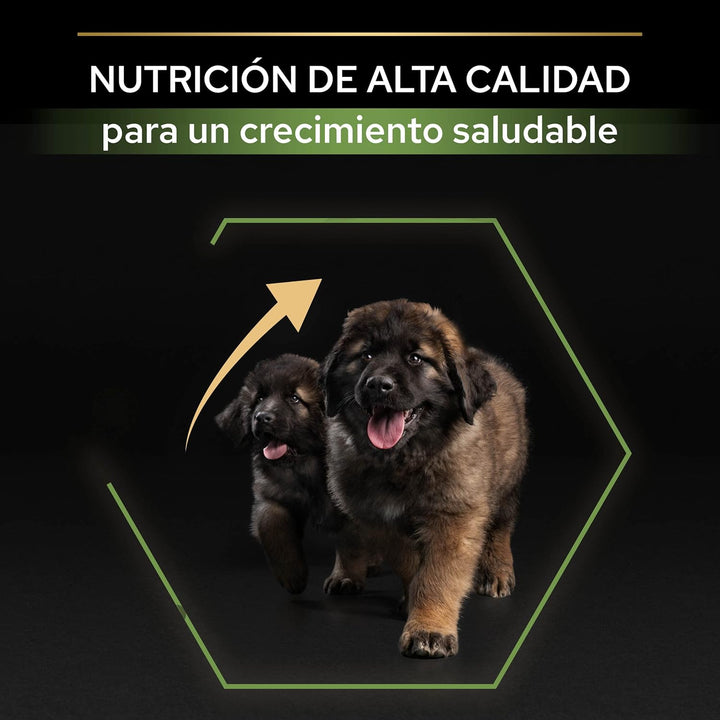 Pro Plan PURINA PRO PLAN Large Robust Puppy Healthy Start, Welpenfutter trocken, reich an Huhn, 1er