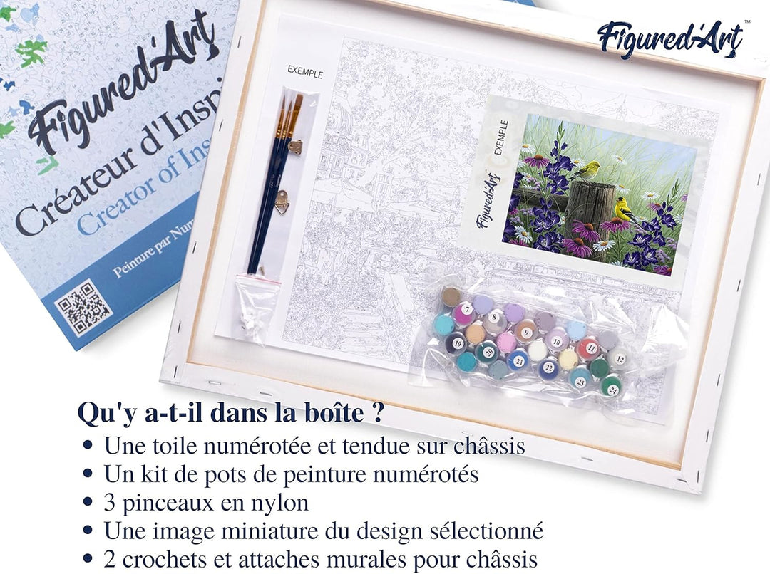 Figured'Art Malen Nach Zahlen Erwachsene Mit Rahmen Stieglitz Pärchen - Paint by Numbers Basteln DIY