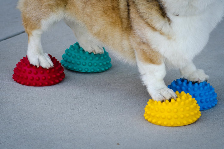 FitPAWS Dog Copenhagen Paw Pods mit Antirutsch für Hunde