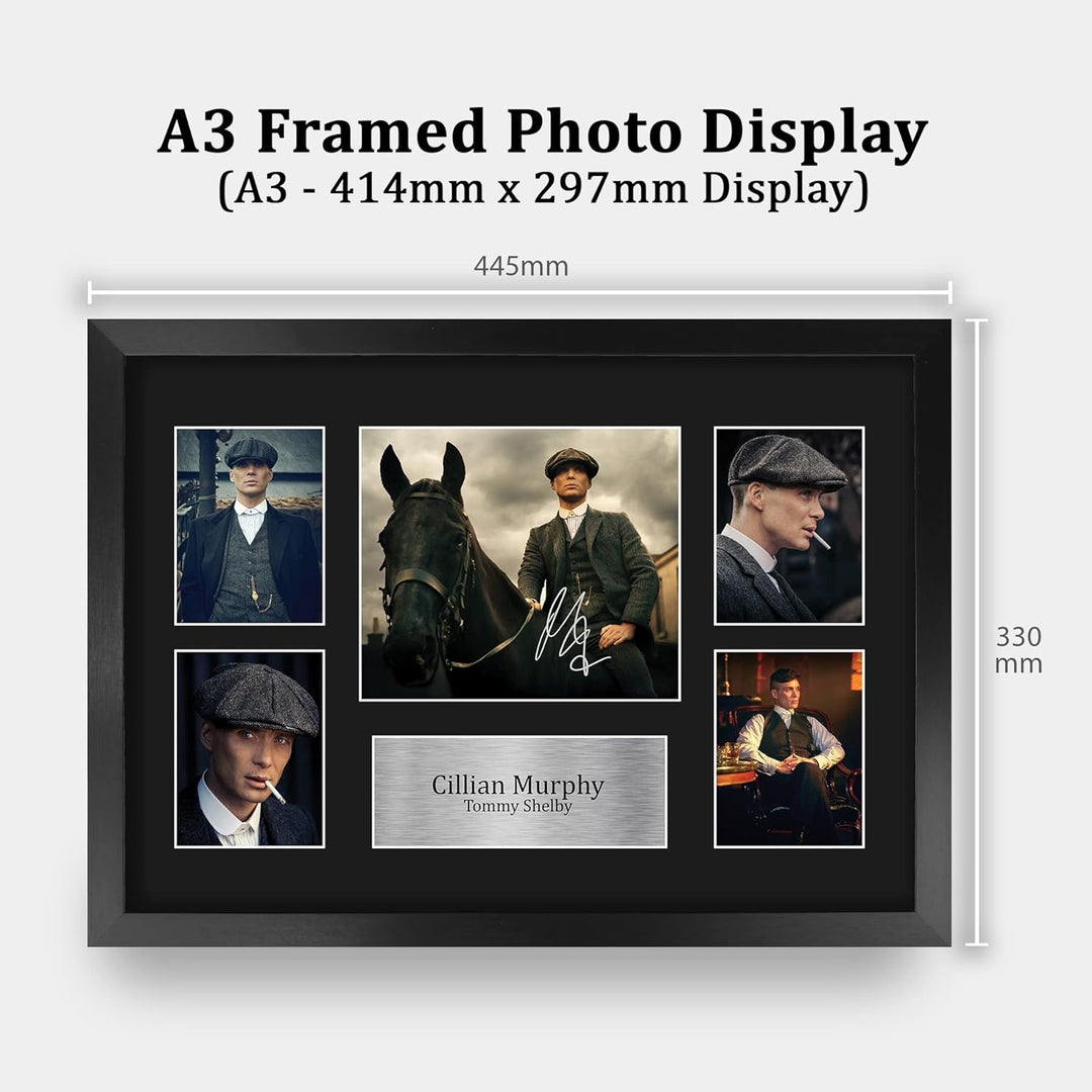 HWC Trading FR A3 Cillian Murphy Peaky Blinders Tommy Geschenke Gedruckt Signiert Autogramm Bild Für