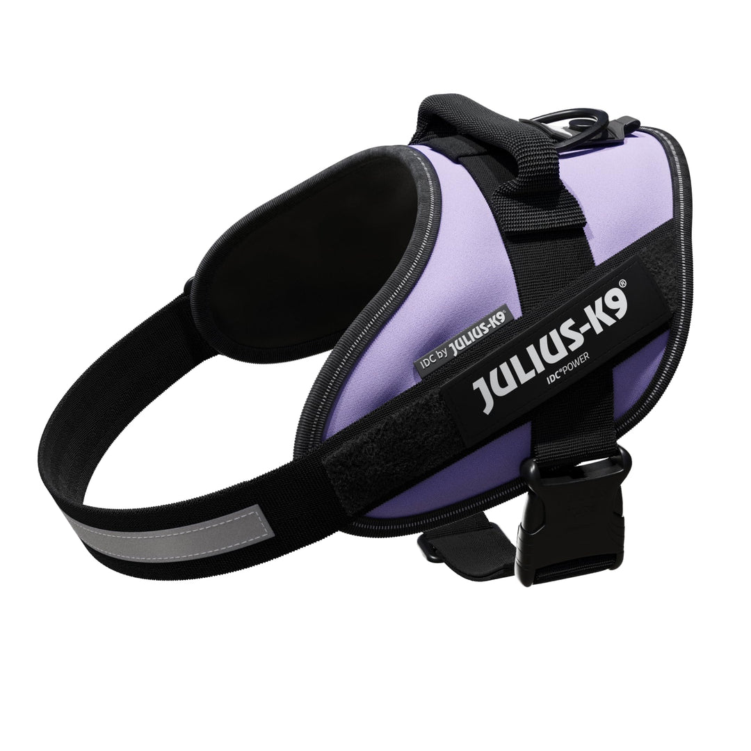 IDC Powergeschirr, Grösse: M/0, Violett Violett M/0, Violett M/0
