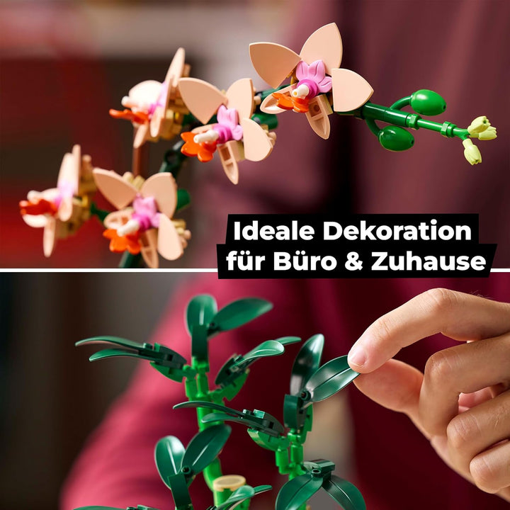 Lego Bambus & Mini Orchidee (10343, 10344), Lego Blumen Neuheiten Kombi – Zwei Lego Icons Blumen als