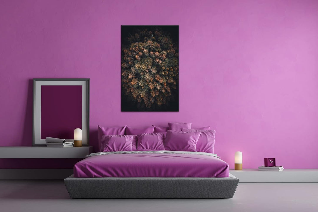 deyoli sagenhafter Wald von oben Format: 120x80 cm als Leinwandbild, Motiv fertig gerahmt auf Echtho
