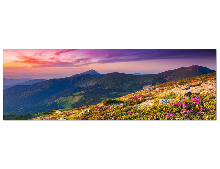 Paul Sinus Art Panoramabild auf Leinwand und Keilrahmen 150x50cm Ukraine Berge Blumenwiese Abendrot