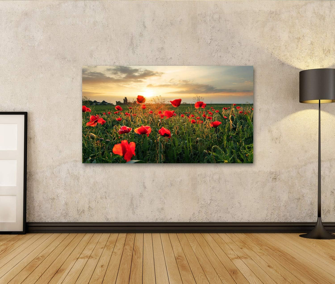 bilderfelix® Bild auf Leinwand Mohnblumen Feldblume bei Sonnenuntergang Wandbild, Poster, Leinwandbi