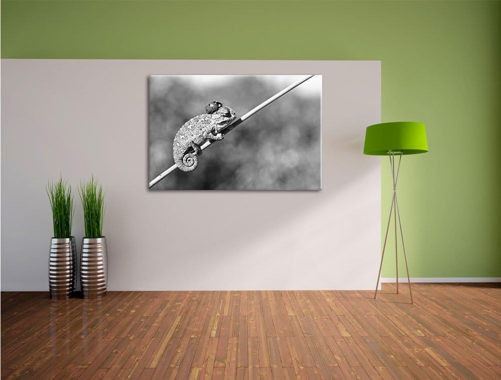 Pixxprint Süsser Gecko mit einem Marienkäfer Kunst B&W, Format: 100x70 auf Leinwand, XXL riesige Bil