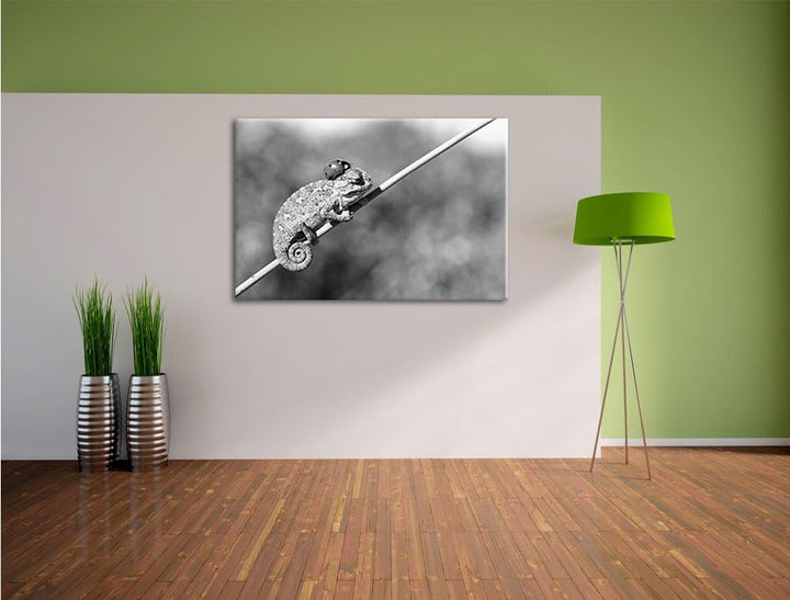 Pixxprint Süsser Gecko mit einem Marienkäfer Kunst B&W, Format: 100x70 auf Leinwand, XXL riesige Bil