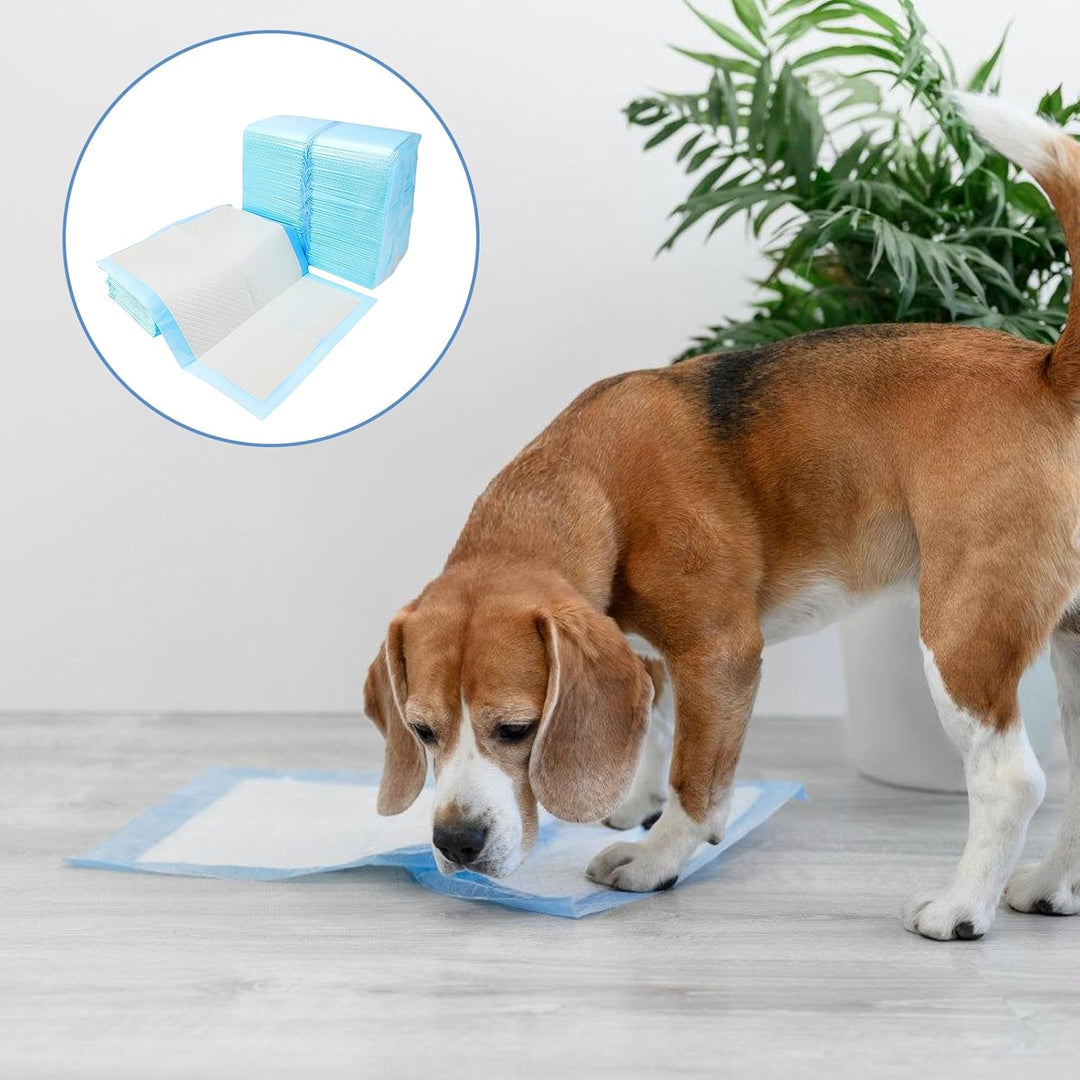 100 Stück PIPI Matten für Hunde: 33×45cm Trainingspads Auslaufsicheres 6-Lagiges Design mit Schnell