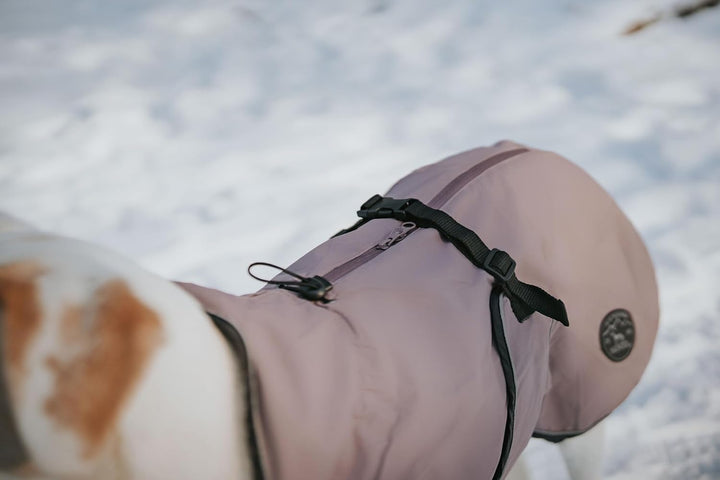 HUNTER Hundemantel Uppsala, Farbe: Altrosa, 2in1 Design mit herausknüpfbarem Innenfutter, wasserabwe