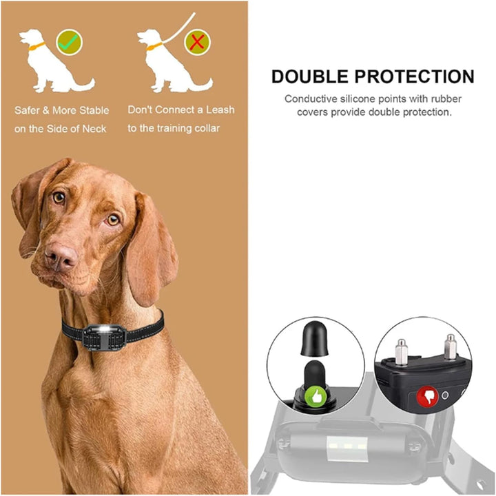 Erziehungshilfen,Agility-Ausrüstung,Ideal auch für Agility-Training.Praktische Hundeerziehungshilfen