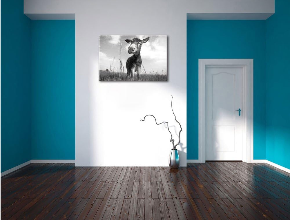 Pixxprint Esel im Feld als Leinwandbild/Grösse: 100x70 / Wandbild/Kunstdruck/fertig bespannt, 100x70