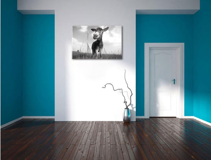 Pixxprint Esel im Feld als Leinwandbild/Grösse: 100x70 / Wandbild/Kunstdruck/fertig bespannt, 100x70