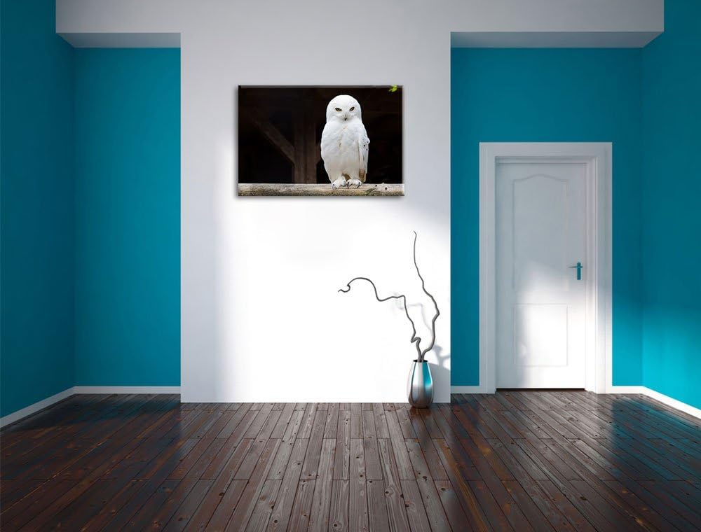 Weisse Schneeeule, Format: 100x70 auf Leinwand, XXL riesige Bilder fertig gerahmt mit Keilrahmen, Ku