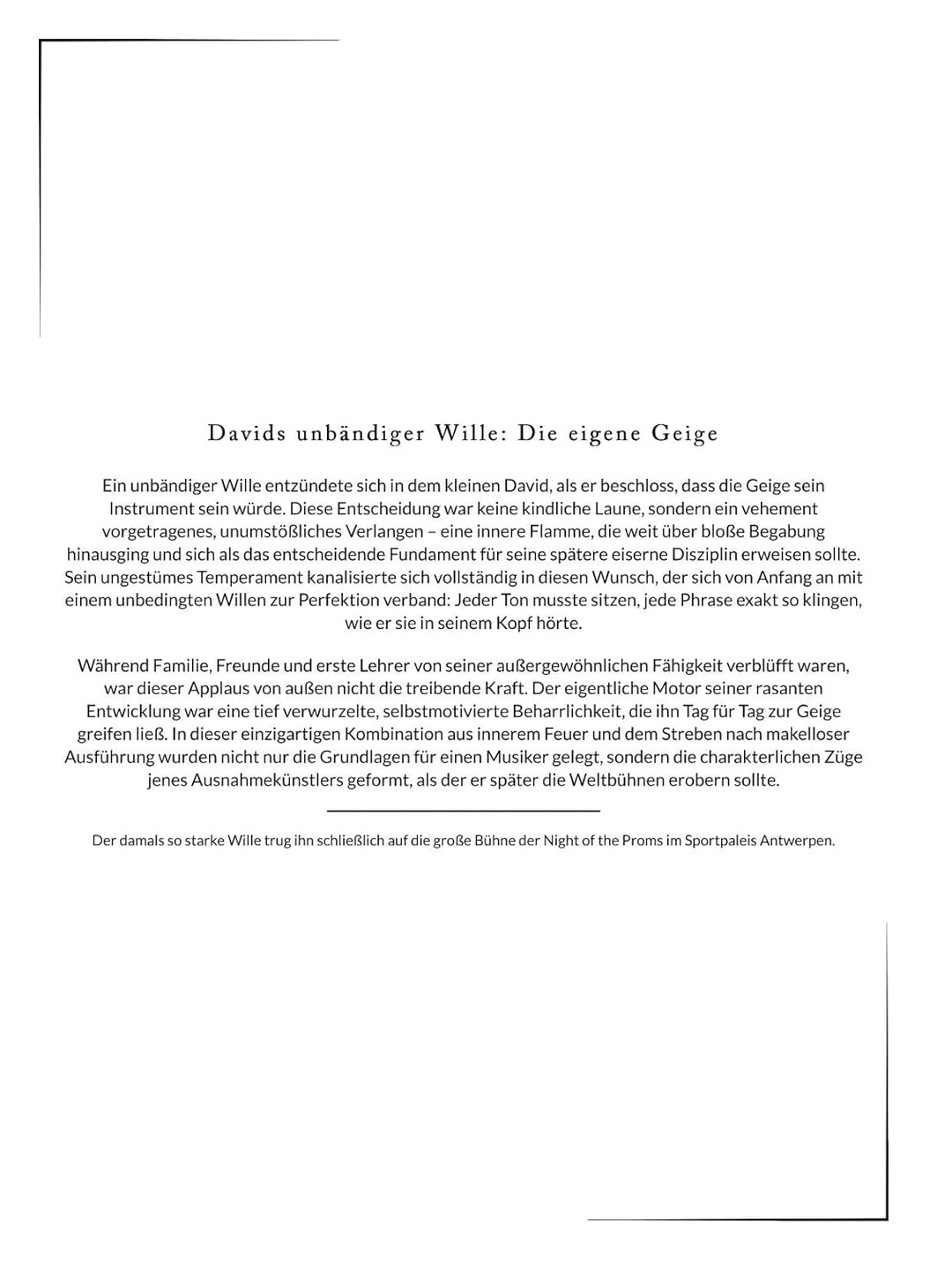 Die Biografie über David Garrett: Feuer auf Saiten. Komplett in Farbe, Taschenbuch