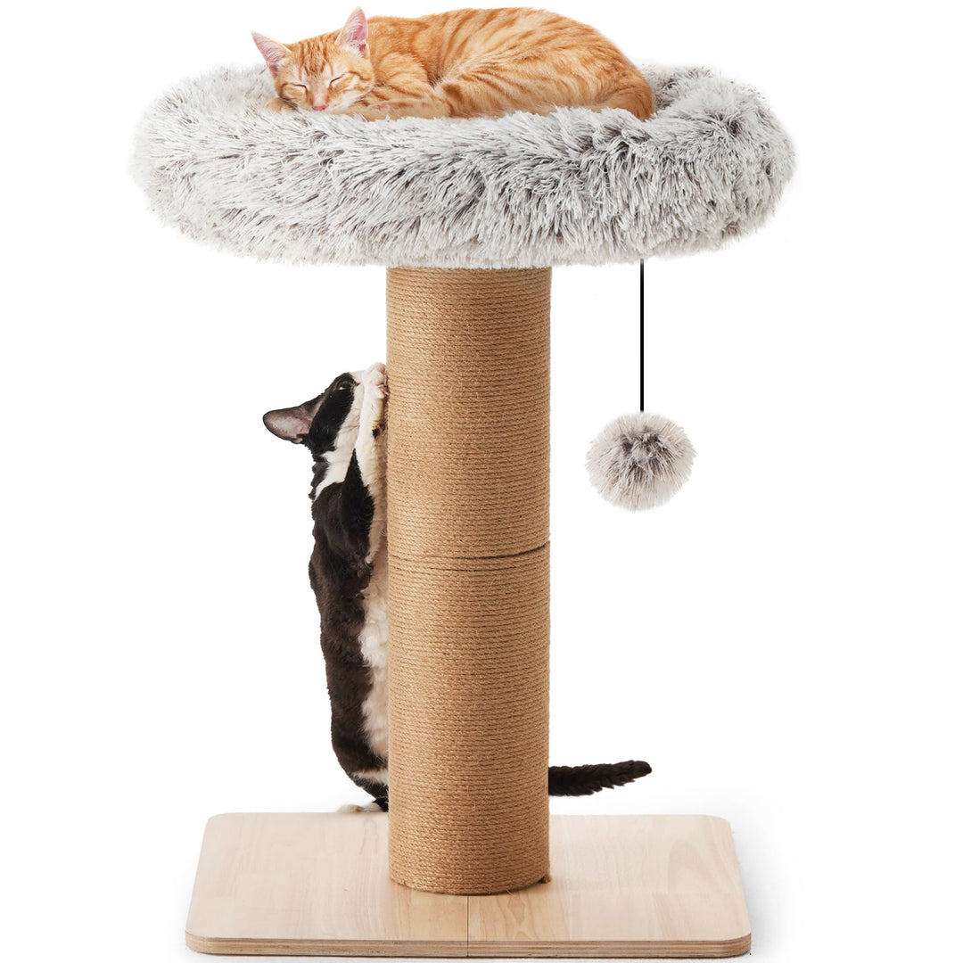 FUKUMARU Kratzbaum für Katzen – 71 cm hoher Kratzturm mit Katzenliege für Erwachsene Katzen im Innen