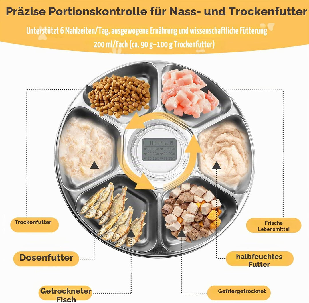 Auveach Futterautomat Katze Nassfutter Automat mit 2 Kühlakkus/Programmierbarem Timer, 6 Mahlzeiten