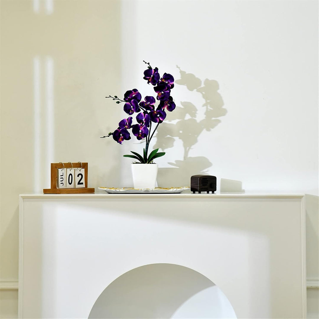 YSZL Phalaenopsis Orchidee, 38,1 cm, gross, Dunkelviolett, Dunkelviolett