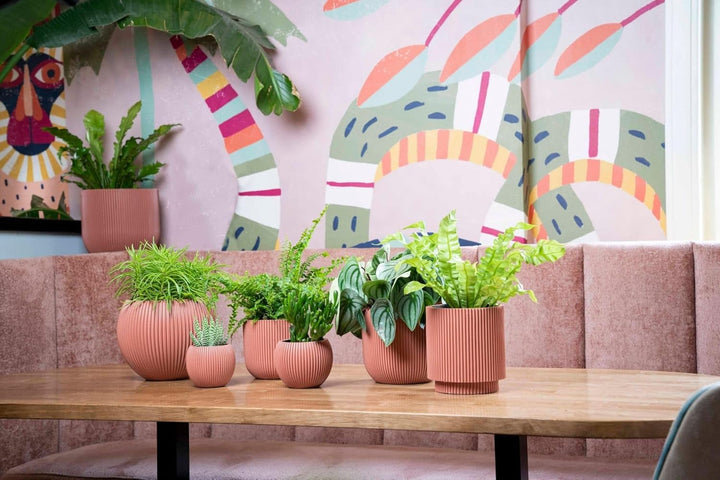 Capi Europe - Gefäss Kugel Groove Colours - 30x25 - Rosa - Öffnung Ø22 - Blumentopf für drinnen - 5