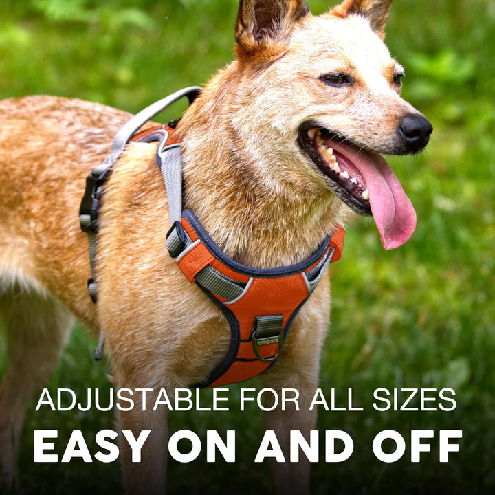 Embark Adventure Hundegeschirr, Einfaches An- und Ablegen mit Leinenbefestigung Vorne und Hinten & K