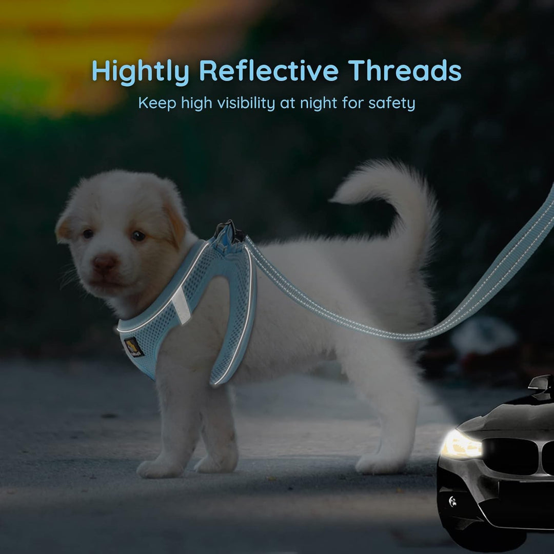 BELLA & PAL Hundegeschirr Kleine Hunde mit Leine, Step-in Geschirr aus Air Mesh, Anti Zug Reflektier