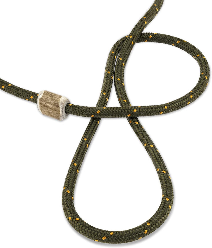 Hundeleine mit Halsband 6mm | Moxonleine Retrieverleine Agilityleine | Mit Zugbegrenzung, Zugstopp a