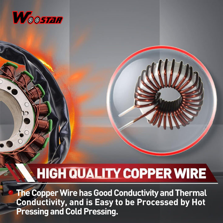 WOOSTAR 18 Spule Magneto Stator Ersatz für Aprilia ETV1000 Caponord ABS 2001-2009 Futura RST1000 Tuo