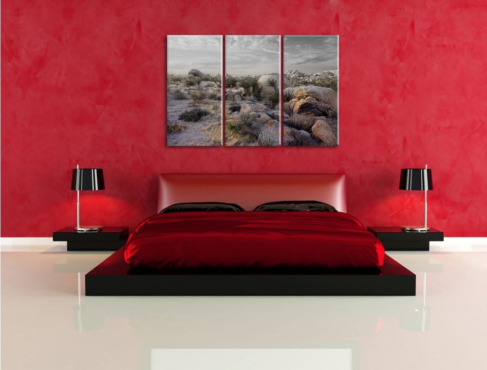 Pixxprint Joshua Wüste im Sonnenuntergang B&W Detail 3-Teiler Leinwandbild 120x80 Bild auf Leinwand