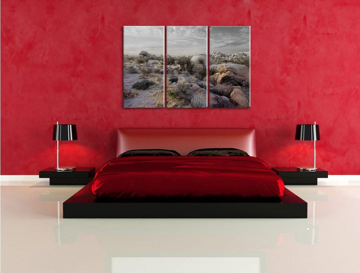 Pixxprint Joshua Wüste im Sonnenuntergang B&W Detail 3-Teiler Leinwandbild 120x80 Bild auf Leinwand