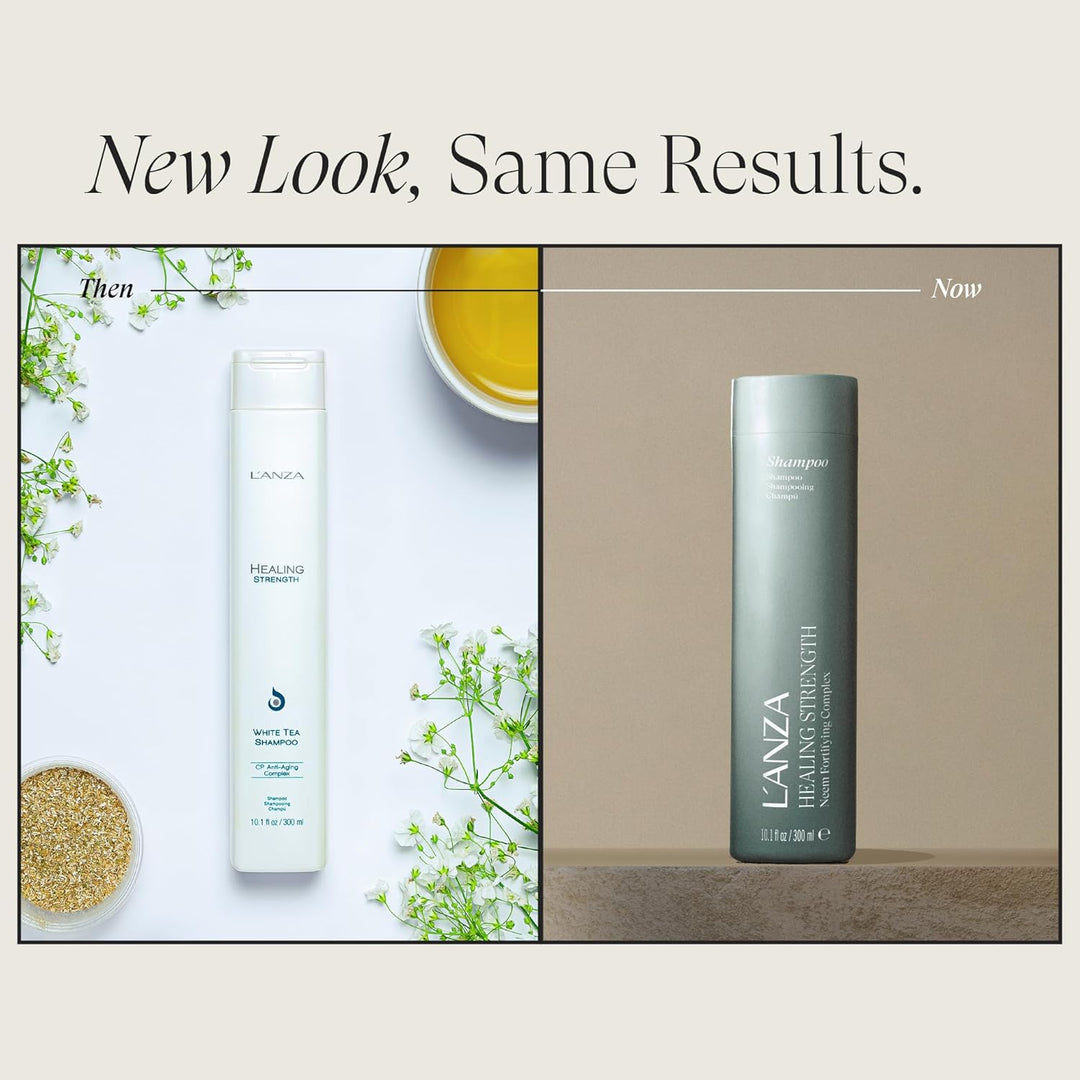 L'ANZA Heilkraft Weisses Tee Shampoo (300 ml), Stärkt, Schützt und Stellt Schwaches, Brüchiges und G