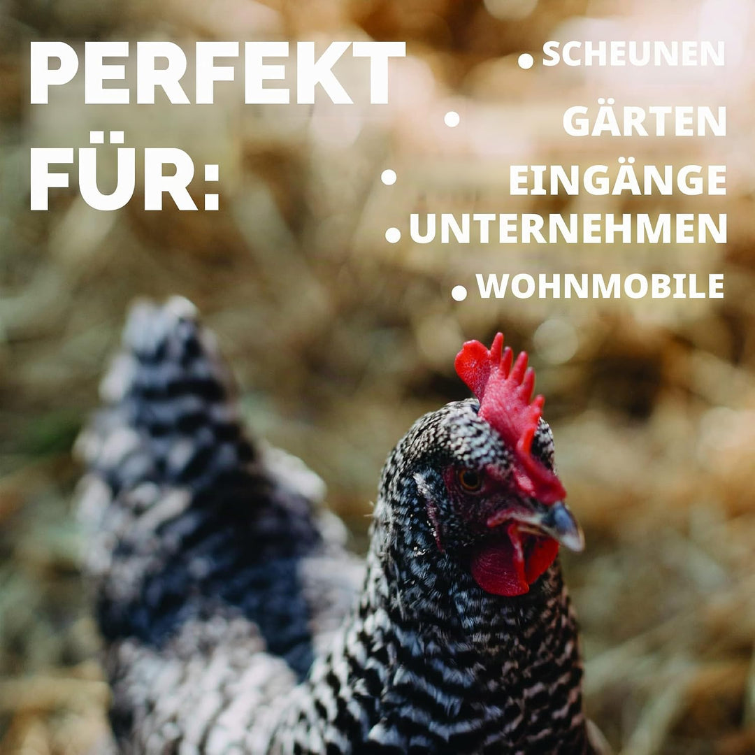 JobSite Extra Breiter Stiefelreiniger - Keine Halterung erforderlich - Witterungsbeständig, langlebi