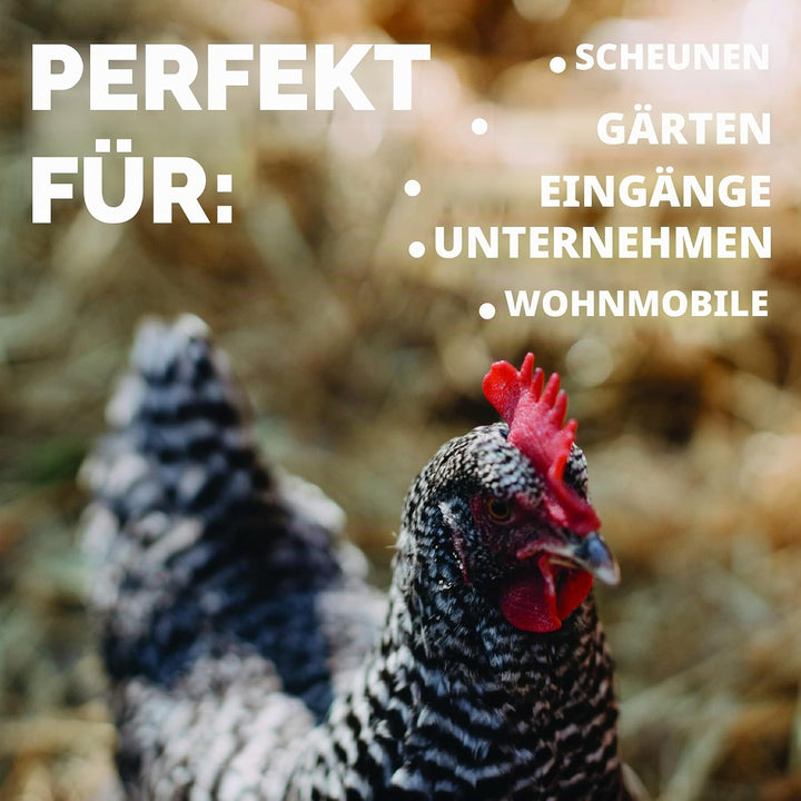 JobSite Extra Breiter Stiefelreiniger - Keine Halterung erforderlich - Witterungsbeständig, langlebi