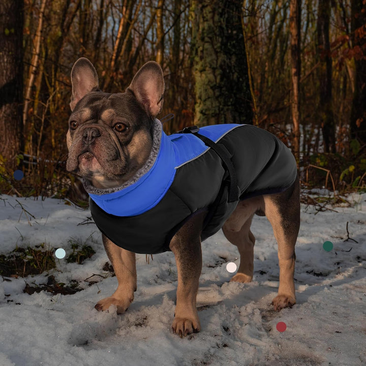 IECOii Hundemantel Winter,Warme Fleece Rollkragen Hundejacke,Wasserdicht Winterjacken Wintermäntel f