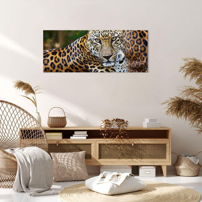 ARTTOR Bilder auf Leinwand 100x40cm Leinwandbild Leopardpanther Katze Tier Savanne Gross Wanddeko Bi