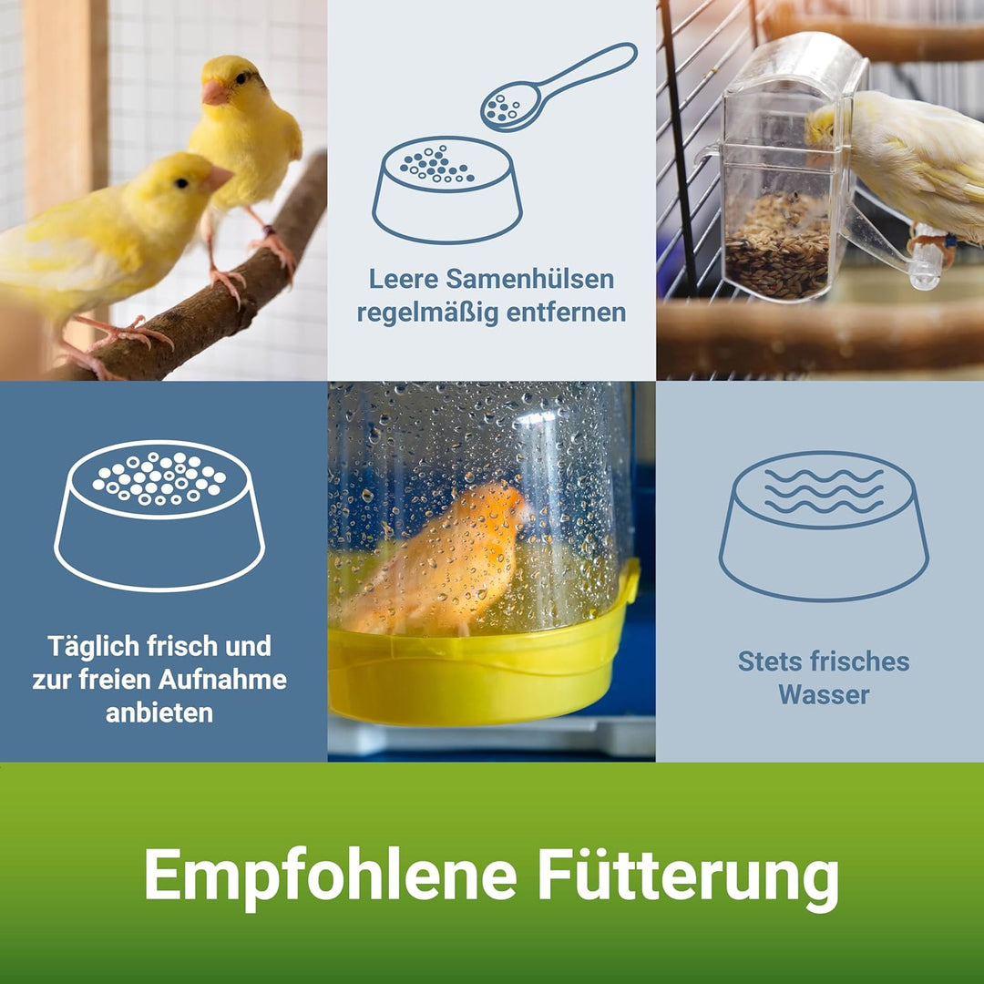 PANTO® Ziervogelfutter, Kanarienfutter 25 kg, 1er Pack (1 x 25 kg) 25 kg (1er Pack), 25 kg (1er Pack