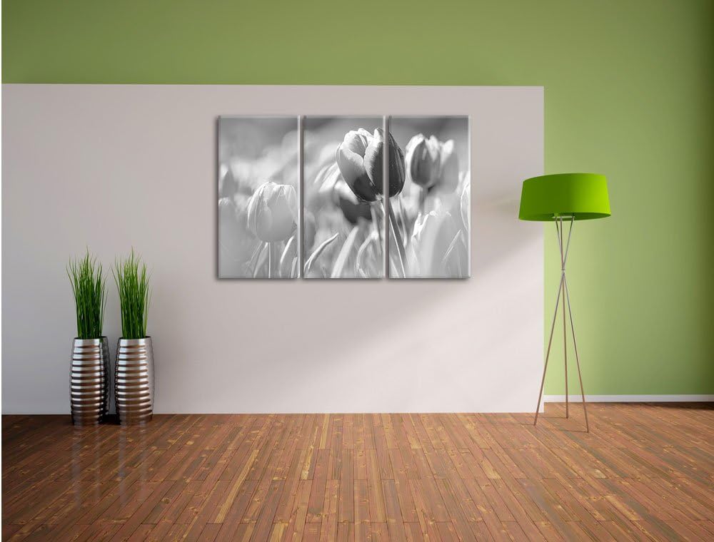 Pixxprint Blühende Tulpen als Leinwandbild/Grösse: 3 Teilig (120x80) / Wandbild/Kunstdruck/fertig be
