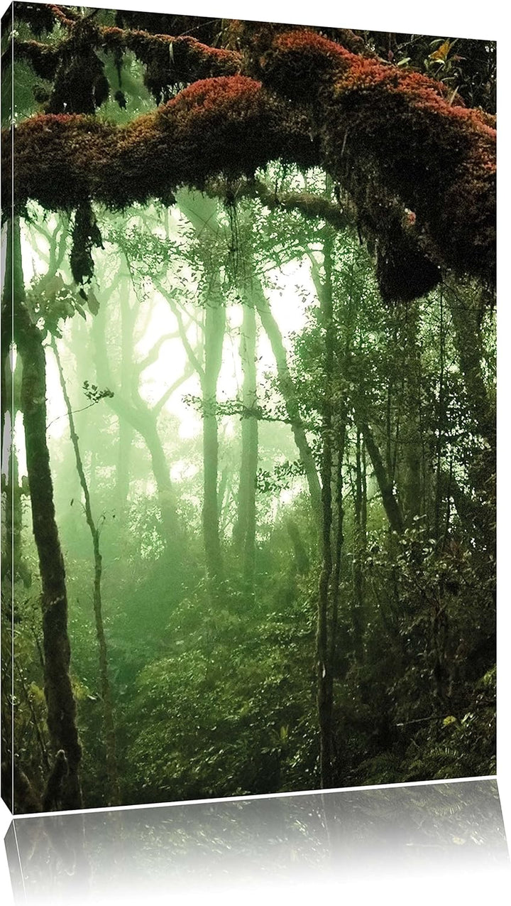 Pixxprint Regenwald Moos Lianen See / 100x70cm Leinwandbild bespannt auf Holzrahmen/Wandbild Kunstdr