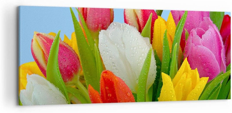 Wandbilder Dekoration Wohnzimmer Tulpen Blumenstrauss Blumen Tau Panorama Bilder auf Leinwand 120x50