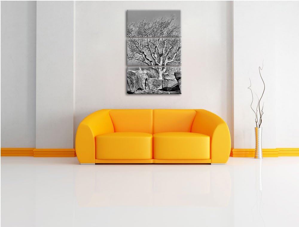 Pixxprint Monocrome, einsamer Baum im Gebirge 3-Teiler Leinwandbild 120x80 Bild auf Leinwand