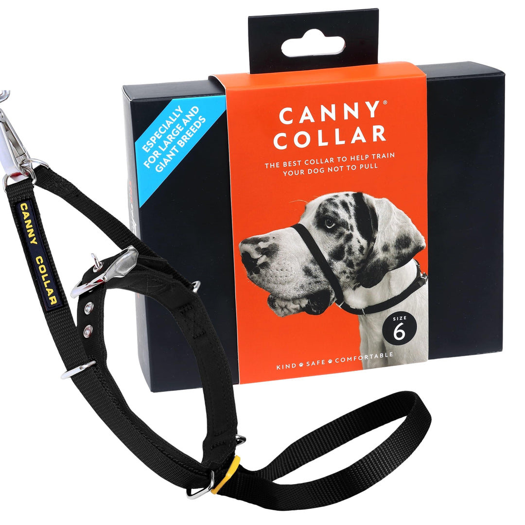Canny Dog Collar Black Grösse 6 Schwarz Grösse 6 - Halsumfang 48-53cm, Schwarz Grösse 6 - Halsumfang